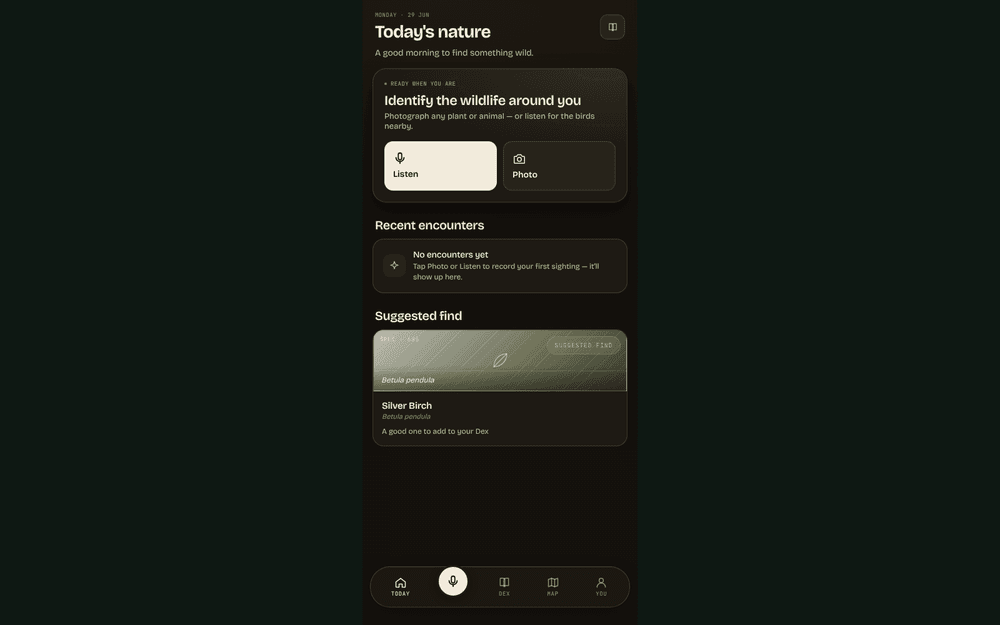 Dingo screenshot